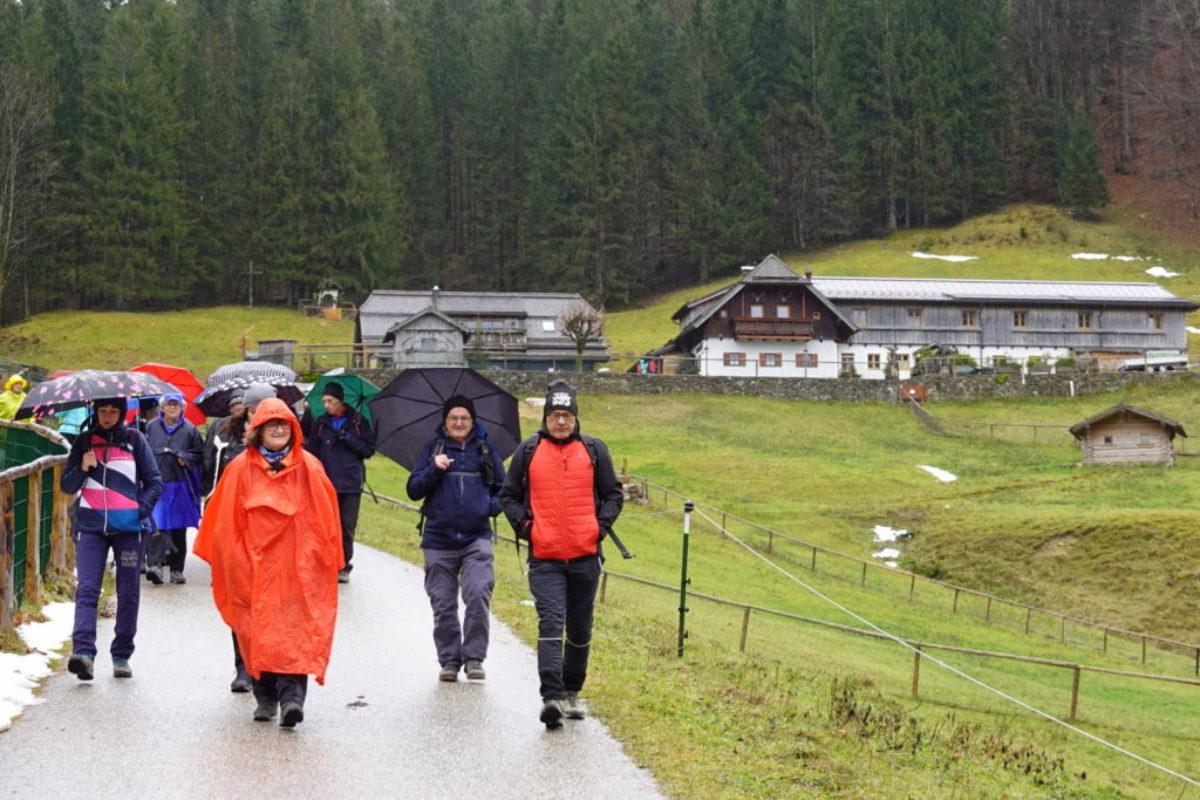 Hochsteinalm_16